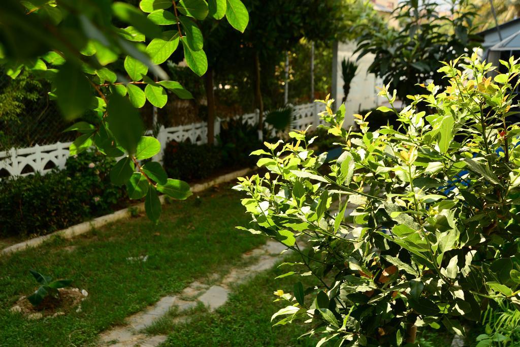 Pinar Hotel Alanya Esterno foto